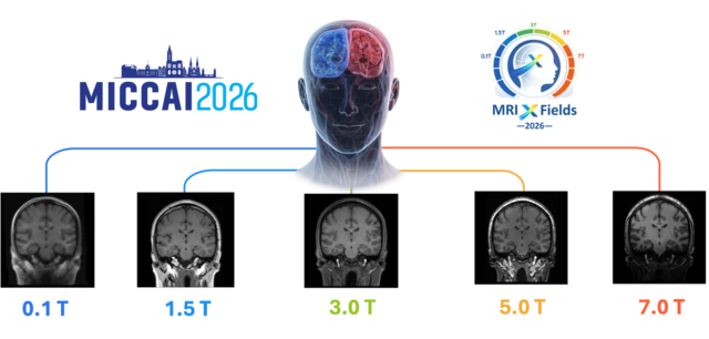 Cross-field MRI translation and harmonization across field strengths from 0.1 T to 7 T